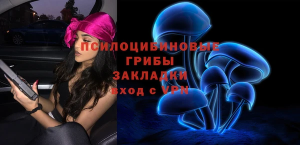 трава Надым