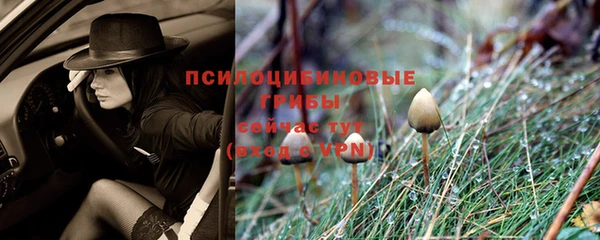 ешки Нефтегорск