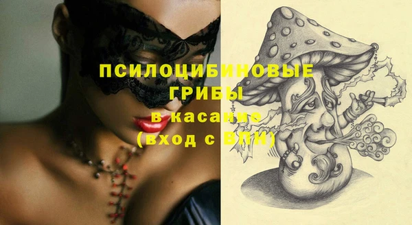 ешки Нефтегорск