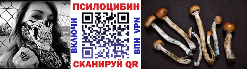 Галлюциногенные грибы мухоморы Нижнеудинск