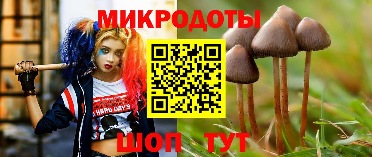 Псилоцибиновые грибы Magic Shrooms  Вход с VPN  Нижнеудинск 