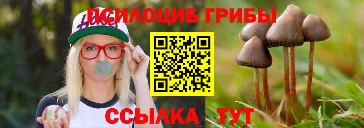 Псилоцибиновые грибы ЛСД Нижнеудинск